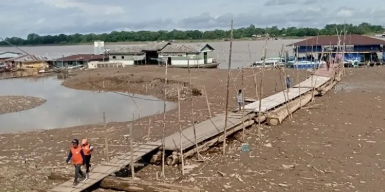 Rio Solimões baixa em Tabatinga e acende alerta para avanço da estiagem na região