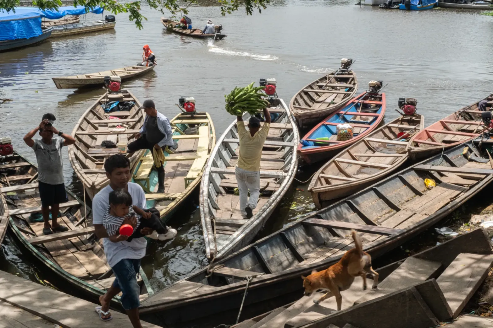 Tríplice fronteira amazônica enfrenta avanço das drogas e impactos sobre comunidades indígenas