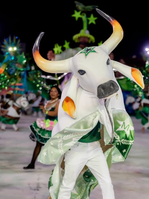 Boi-Bumbá Mangangá conquista o título do XXXI Festival Folclórico Benjaminense 2026