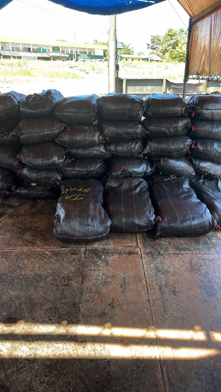 Operação Jaguaretê: Exército apreende pasta base de cocaína e 1 mil munições em fiscalização no Alto Solimões — imagem 4